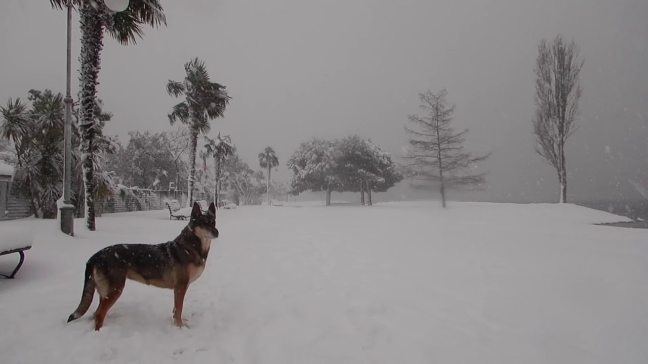 Torbole 2020 Nevicata eccezionale. 4k