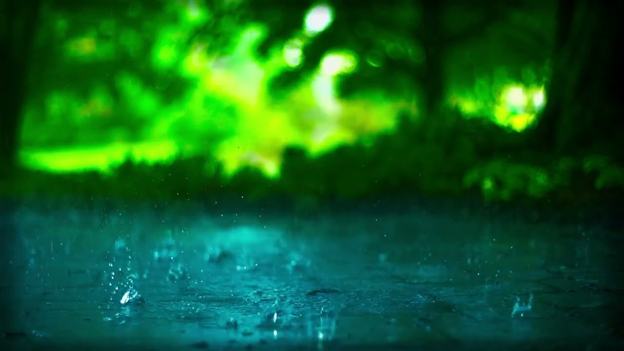 I. S. O. T. M.  -  Where Are You?