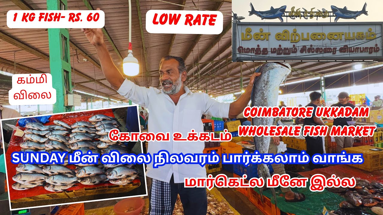 Wholesale Market மீன் விலை பாக்கலாம் வாங்க #coimbatore #reels 