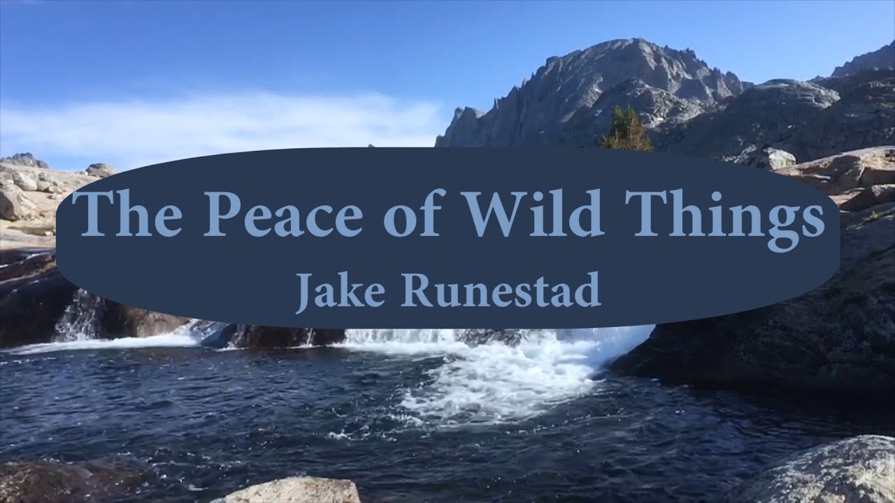 Peace of Wild Things   Jake Runestad
