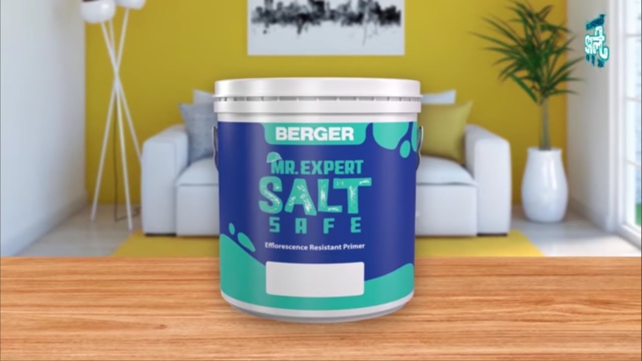 Berger Mr. Expert Salt Safe - লবনের বিরুদ্ধে দেয়ালের পাহারাদার