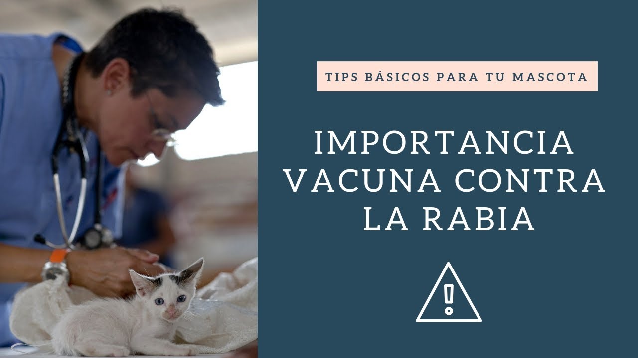 ★ IMPORTANCIA VACUNA CONTRA LA RABIA  -   HogarTv por Juan Gonzalo Angel