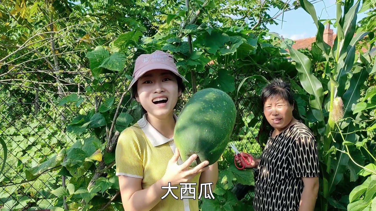 东北小园菜吃不完，小刀妈种的冬瓜10斤重，一个分5家吃都够了！
