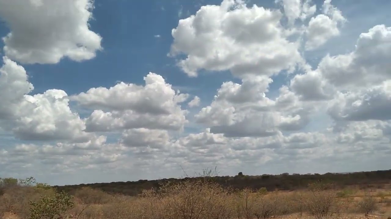 Os limpos do sertão nordestino 