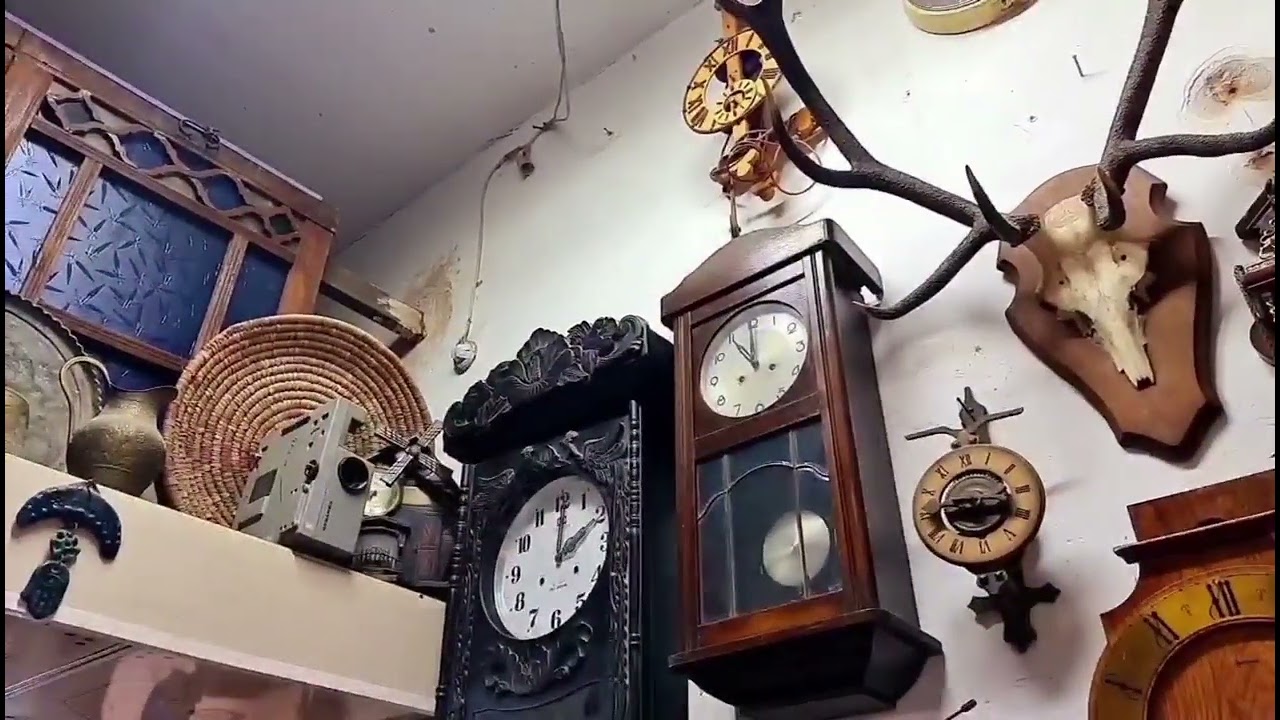 يوميات مجمع خان المدلل
