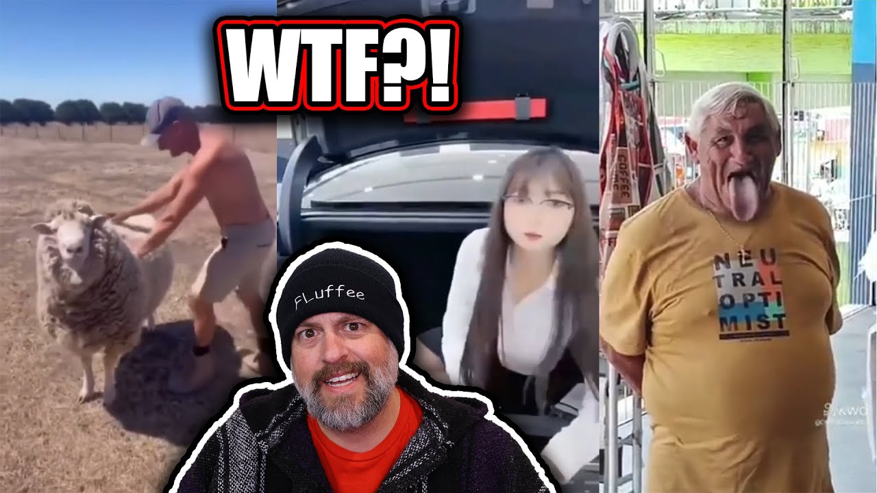 Злая овца, урод и вонючее гниющее мясо? 😱