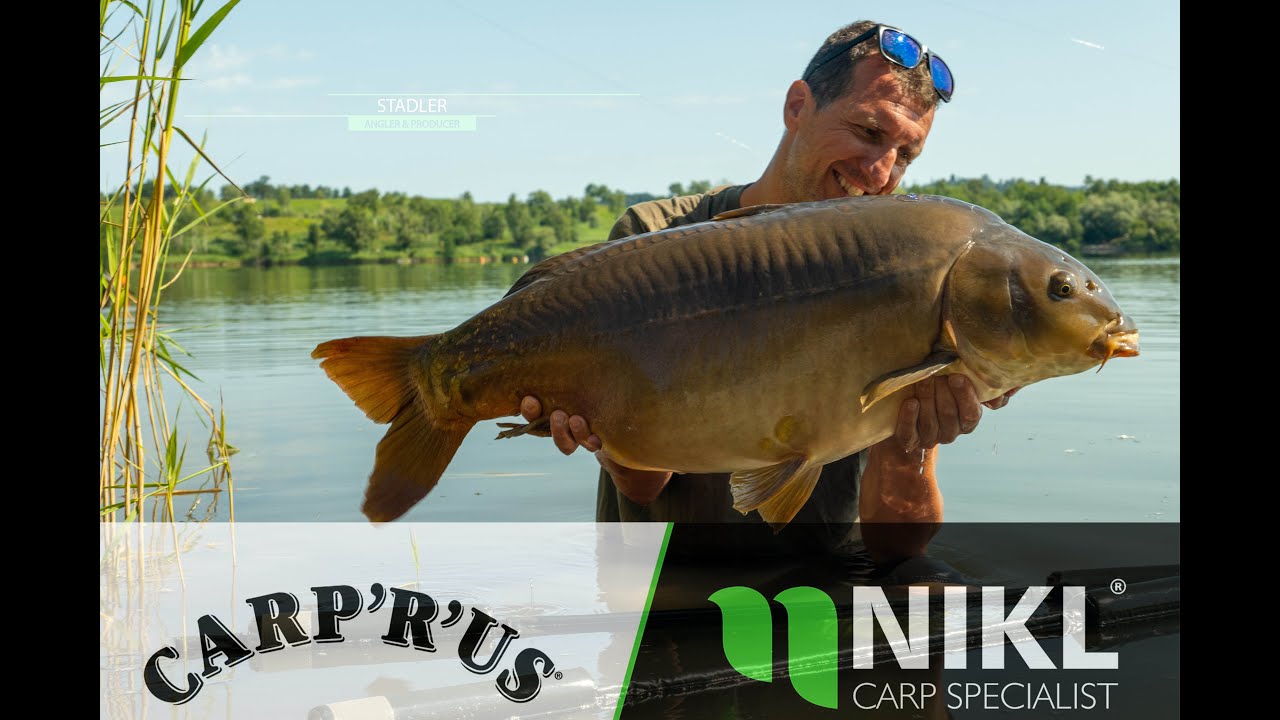 Carp fishing summer 2023 lake Kočevje Stadler Production