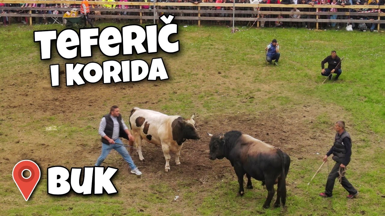 Teferič i korida BUK - Olovo 2023