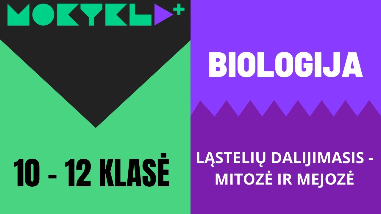 Mokykla+ | Biologija | 10 - 12 klasė | Ląstelių dalijimasis || Laisvės TV X