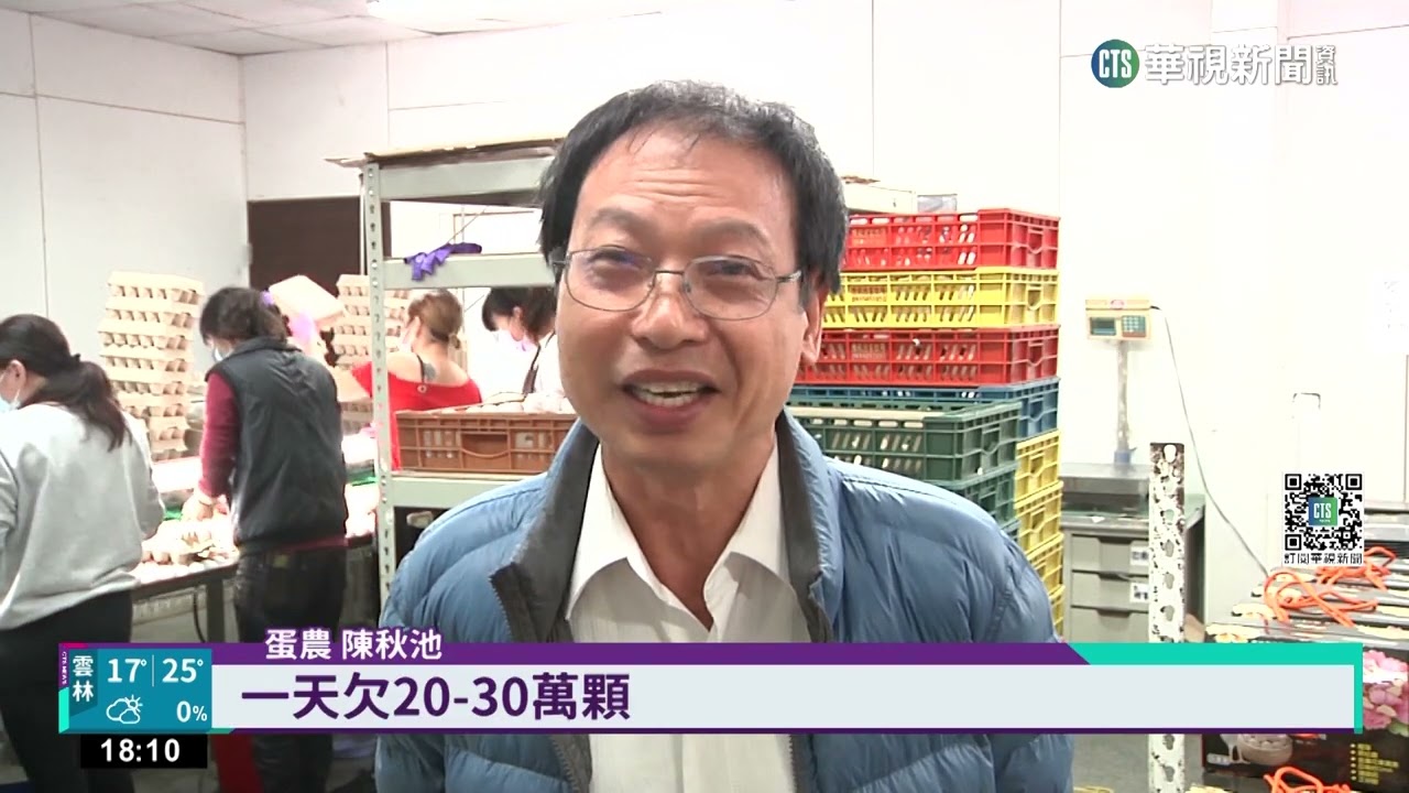 雞蛋爆日缺百萬顆 每台斤喊到破50元｜華視新聞 20230111