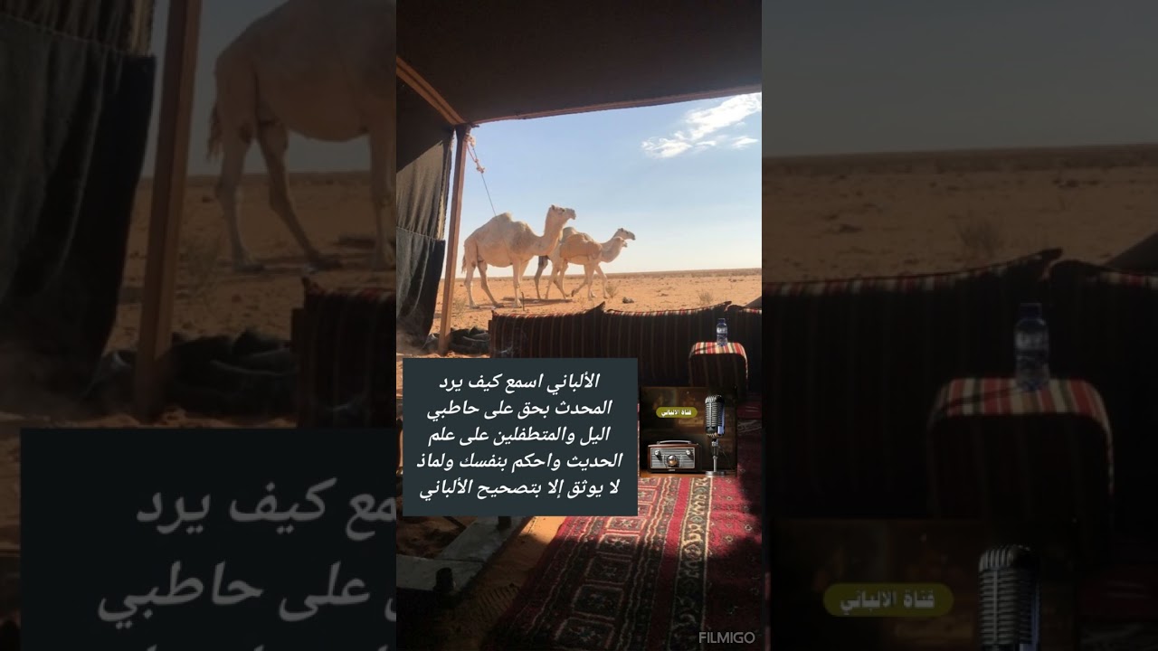 الألباني اسمع كيف يرد المحدث بحق على حاطبي اليل والمتطفلين على علم الحديث واحكم بنفسك