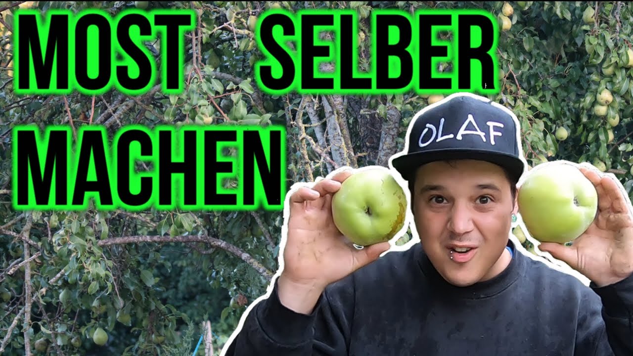 Apfel Most | Apfelwein selber machen | Vom Äpfel sammeln bis zum Most Ansatz