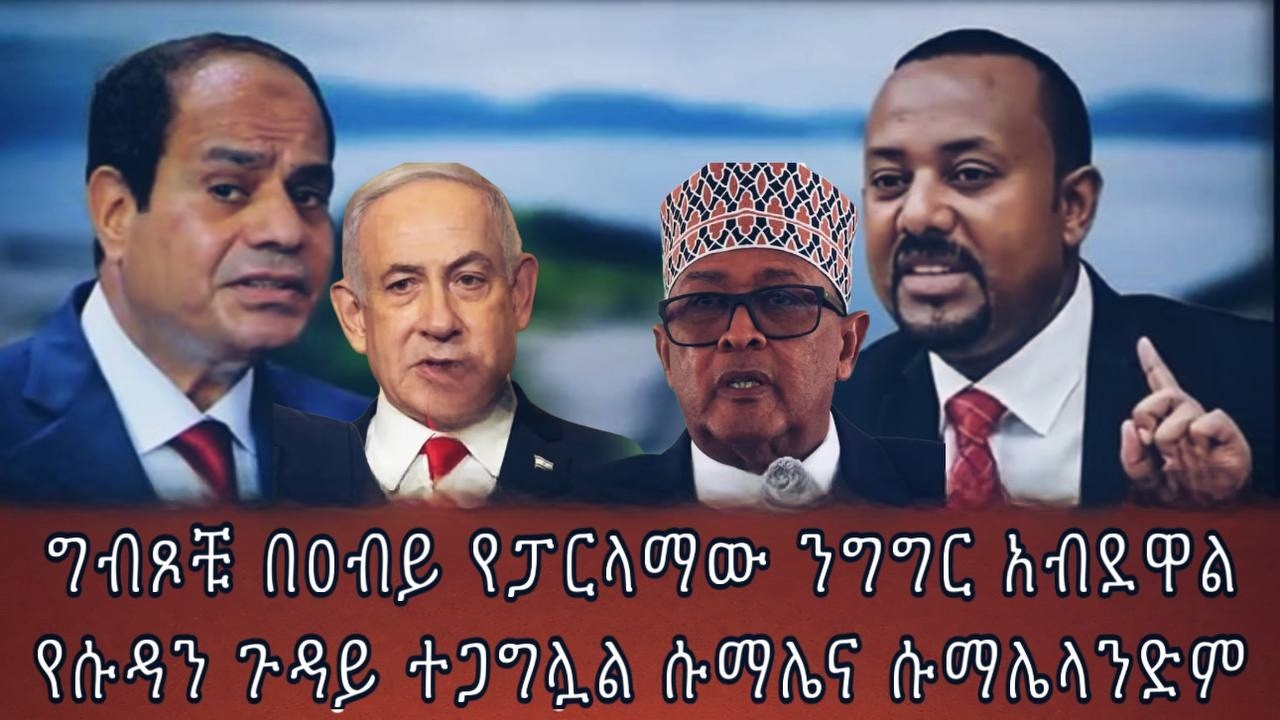 ግብጾቹ በዐብይ የፓርላማው ንግግር አብደዋልየሱዳን ጉዳይ ተጋግሏል ሱማሌና ሱማሌላንድም