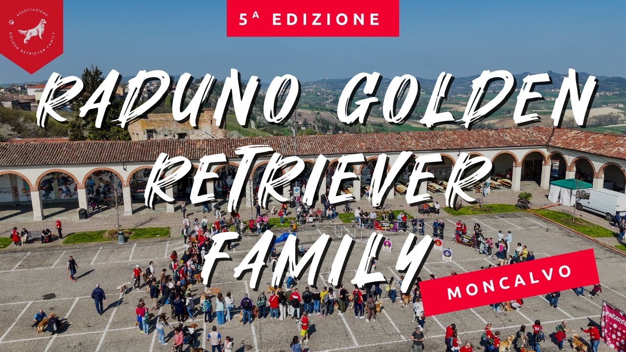 RADUNO GOLDEN RETRIEVER FAMILY MONCALVO | 5 APRILE 2025 #goldenretriever #radunogolden #cane #festa