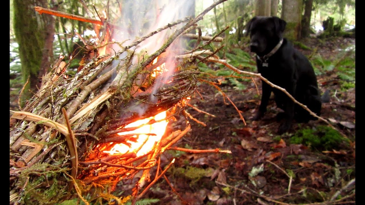 Punky Twig Bundle: Campfire in Your Hands