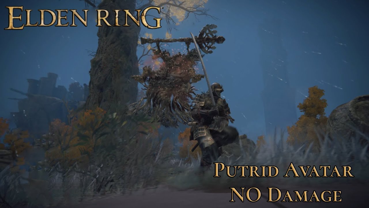 ELDEN RING -- Putrid Avatar -- Dragonbarrow (No Damage)