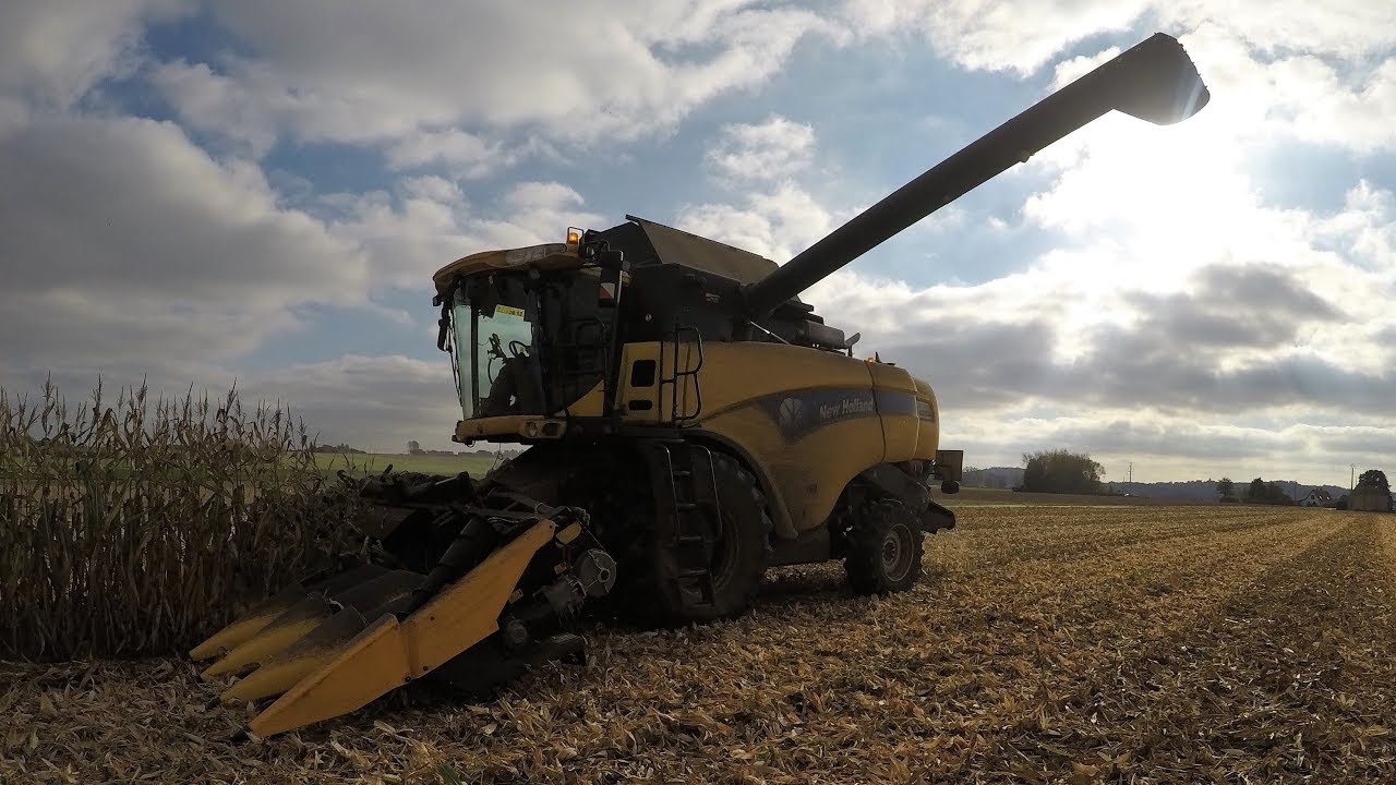 Maïs Grain 2018 / New Holland / Geringhoff / Renault / Claas / John Deere