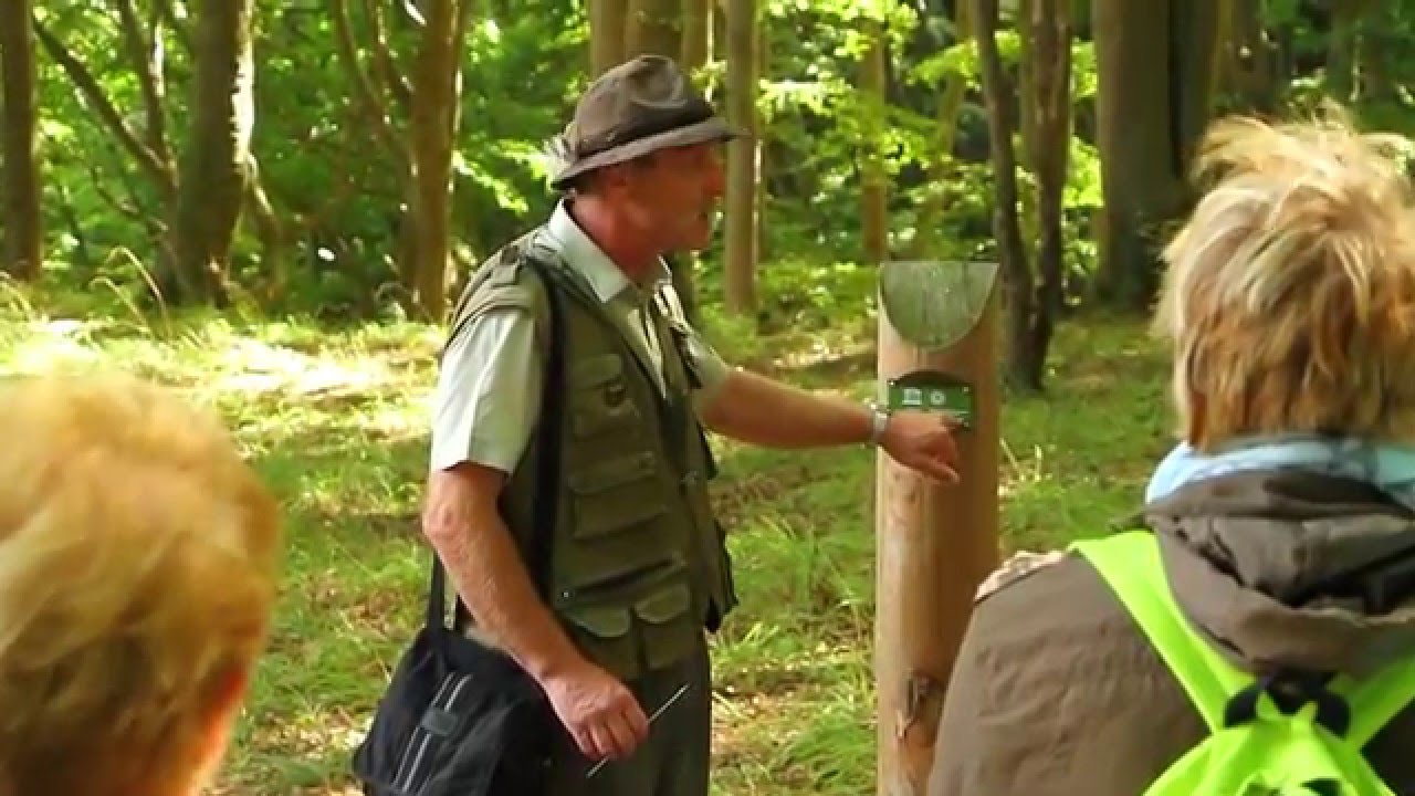 Nationalpark Jasmund: Ranger Karsten Klaene erklärt