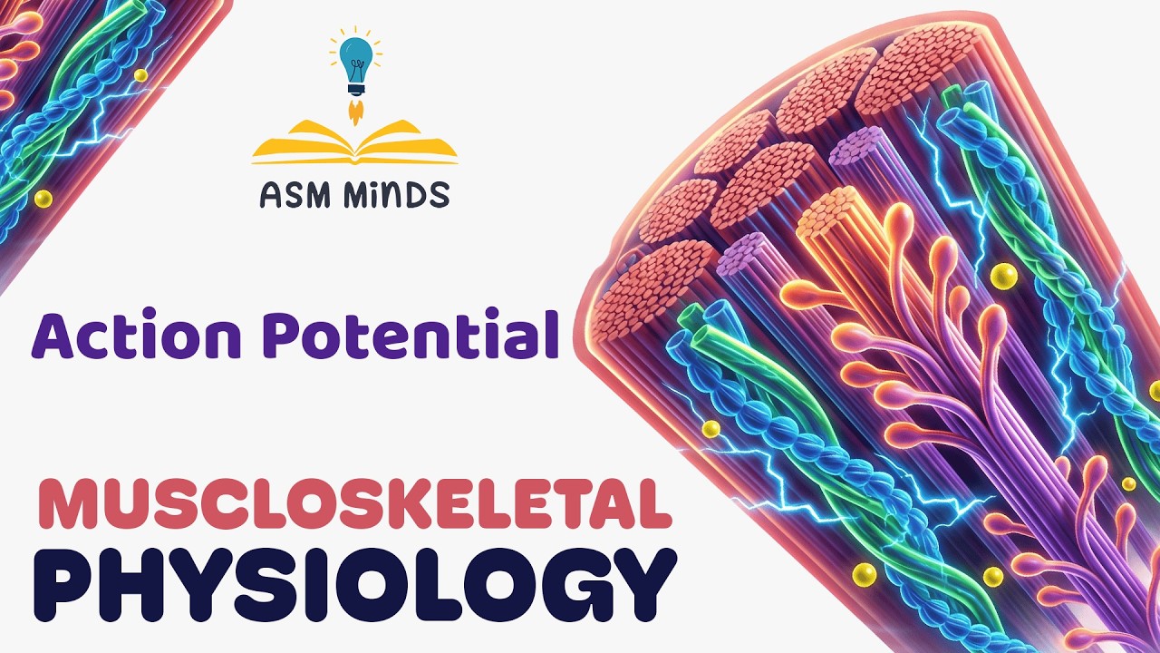 2- Action Potential - Musculoskeletal Physiology - By Dr.Mohamed Salama