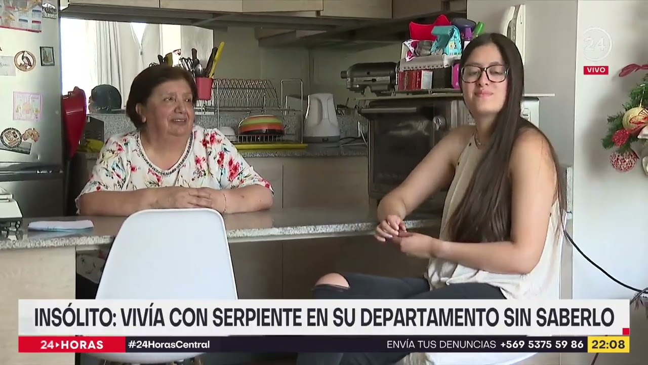 Insólito: vivía con serpiente en su departamento sin saberlo