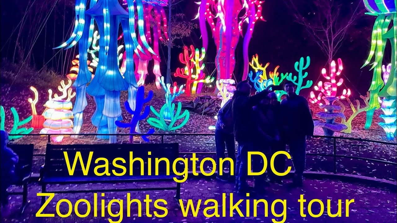 Washington DC ZooLights Walking Tour | Amazing Experience in the American Capital | ASMR | 4K HD