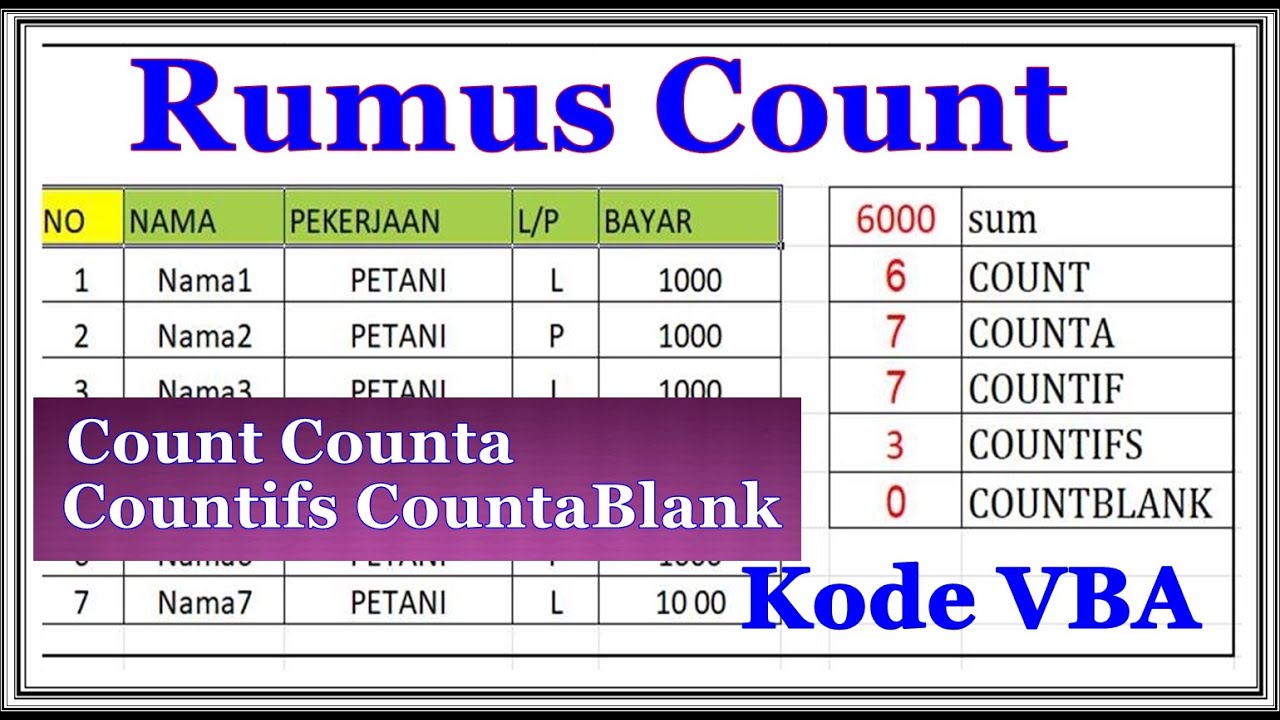 How to Use COUNT COUNTA COUNTBLANK COUNTIF  Function in Excel Using VBA | Teknik Dasar untuk Pemula