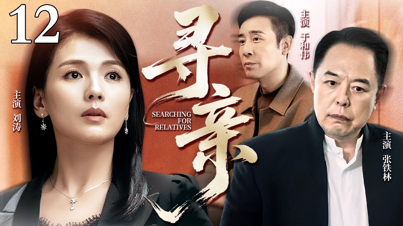 【2026最新电视剧】寻亲 12｜怀孕女人被迫远走他乡惨死异地，三十年后酷似她的女孩突然出现，三位当年同窗的命运再度纠缠（刘涛/于和伟/张铁林）