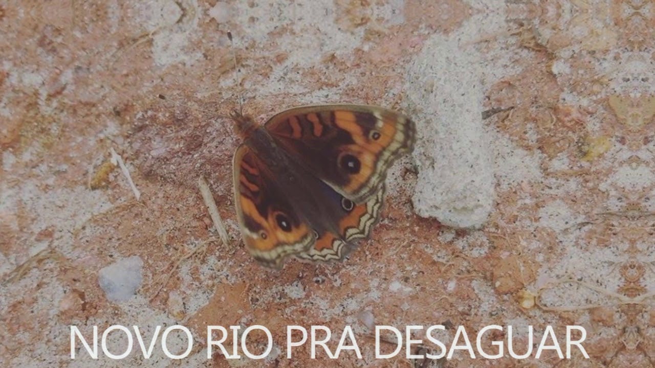 Rakeka - Ar doce ar