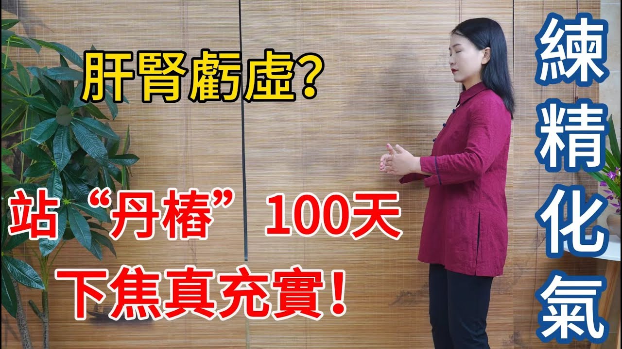 堅持站樁100天，能讓人真陽不漏，練精化氣，天天一柱擎天！【健康管理師李晓】