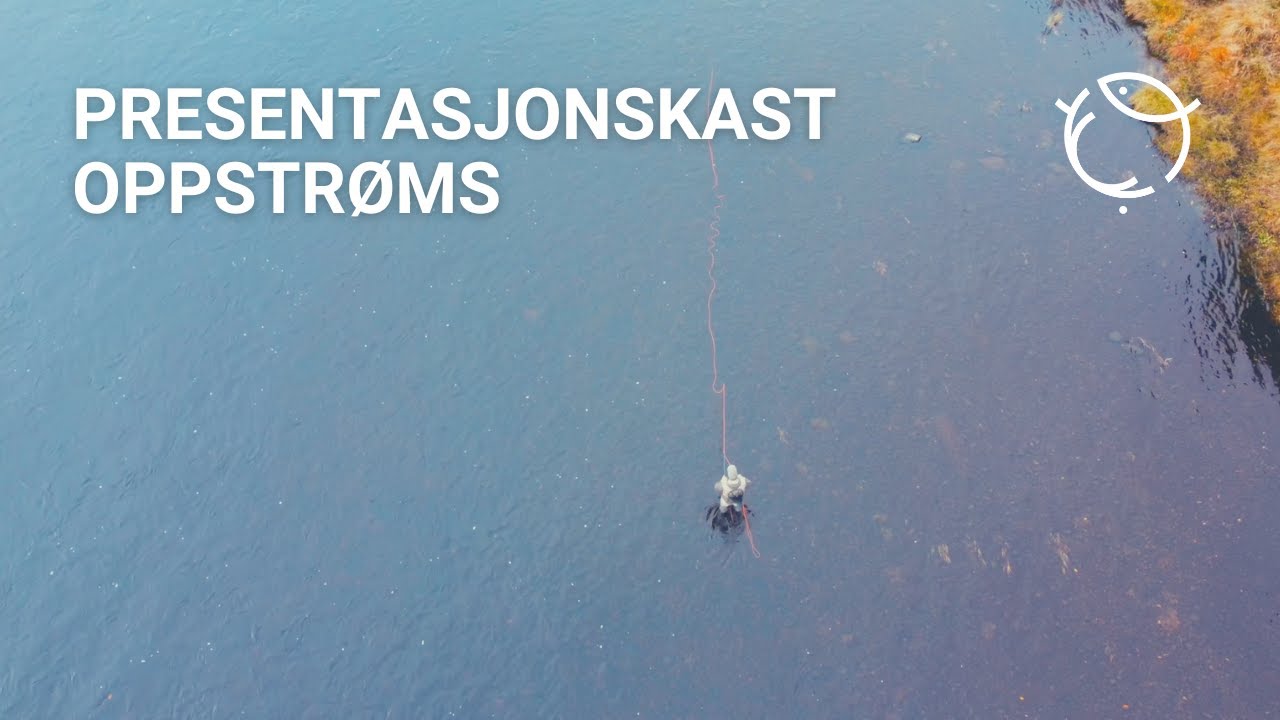 Fluekasteskolen | Presentasjonskast oppstr&oslash;ms
