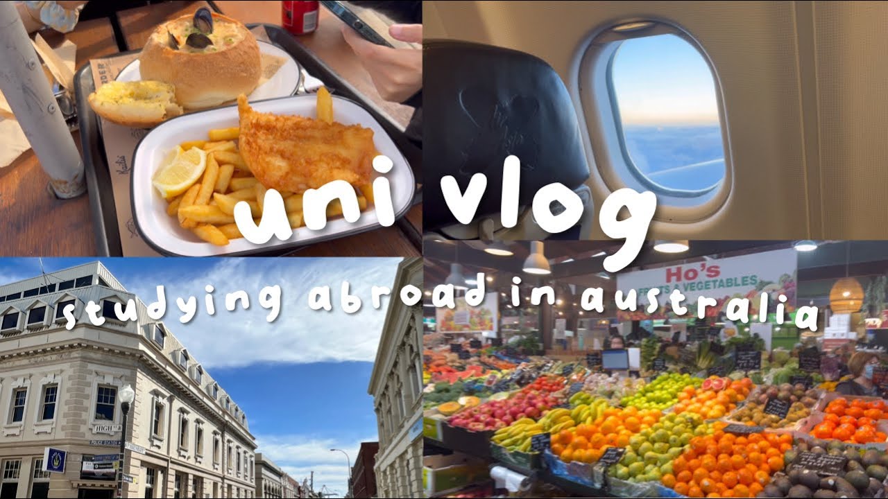 next chapter uni vlog: moving to Australia! (study bachelor degree)