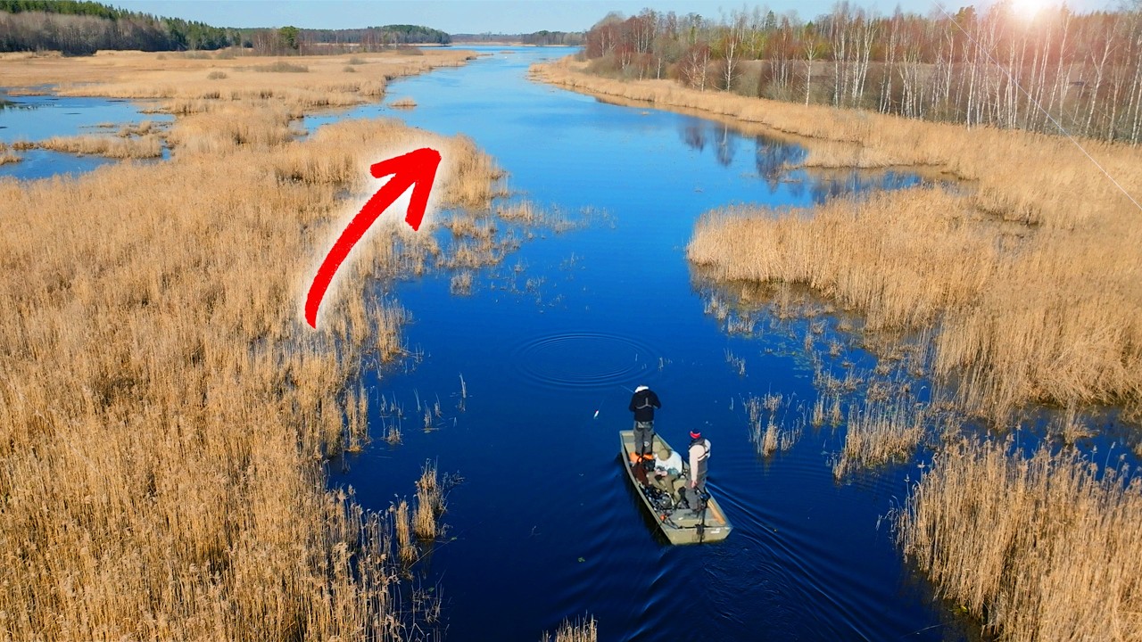 Lurar det TR&Auml;SKMONSTER h&auml;r?🐊 Fiskar g&auml;dda i en ny cool TR&Auml;SKSJ&Ouml;❗️