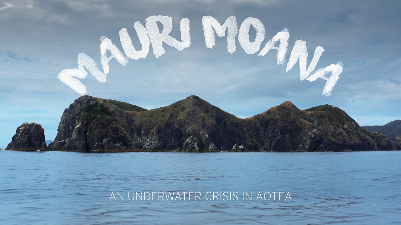 Can We Stop This Silent Ocean Killer? | Mauri Moana (2024)