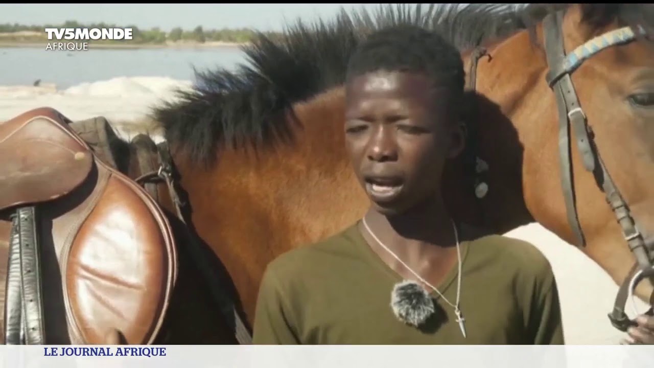 Sénégal : Fallou Diop tire les rênes du succès