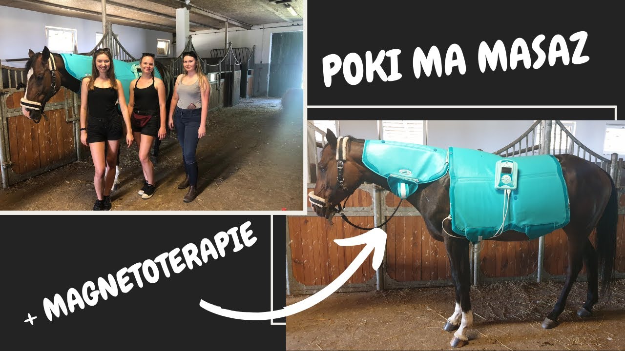 POKI MA MASAŻ + MAGNETOTERAPIE