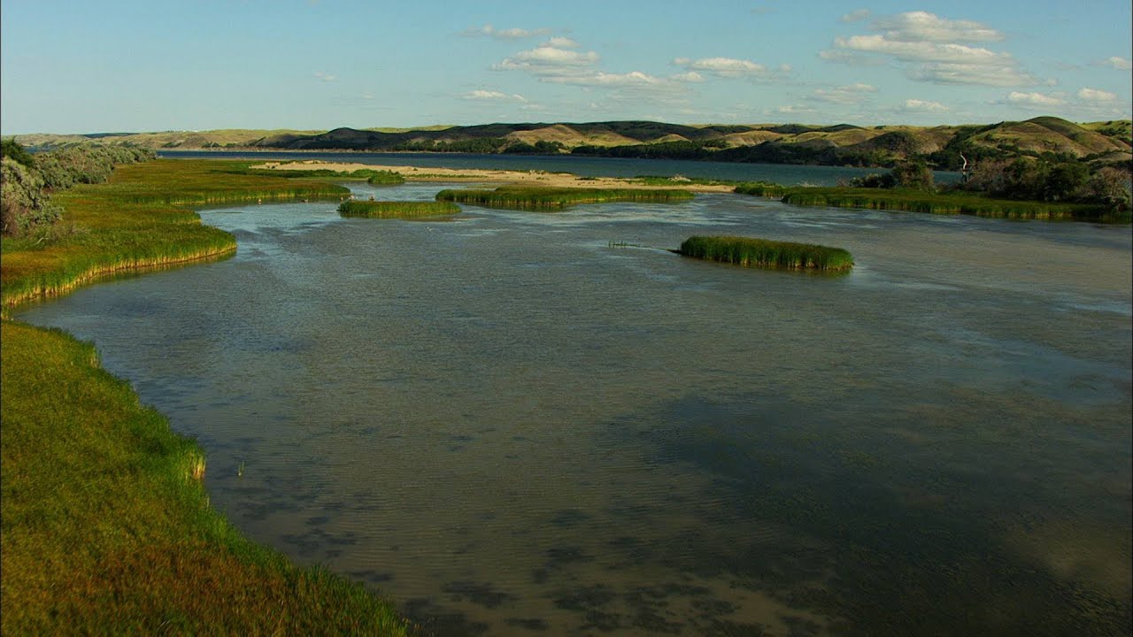 Without This Woman's Help, Lewis and Clark Were Goners