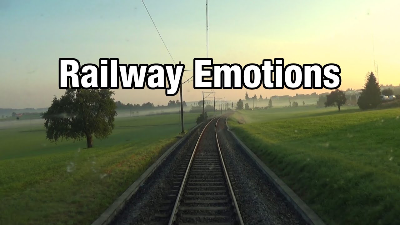🚆 Beautiful morning cab ride with light mist (Switzerland | Thurbo S10 Wil - Romanshorn)