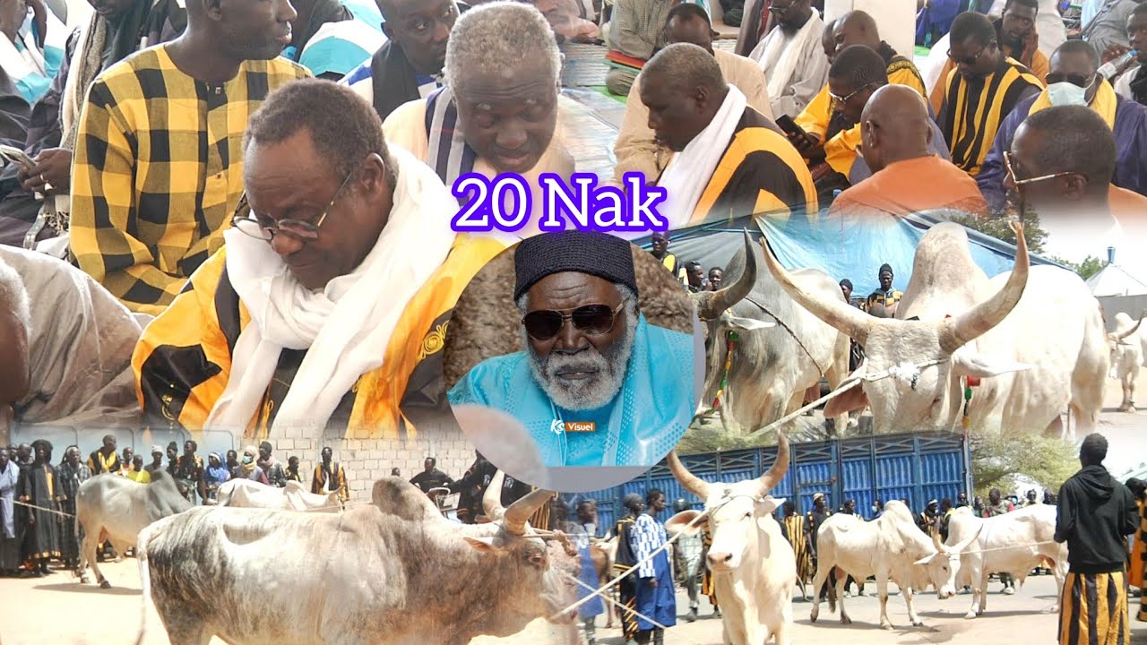Diébëlé Adiya Ndogou  2026 Wakeur Serigne Mbacke Fall 20 Nak ci Serigne Amdy Khady Fall 