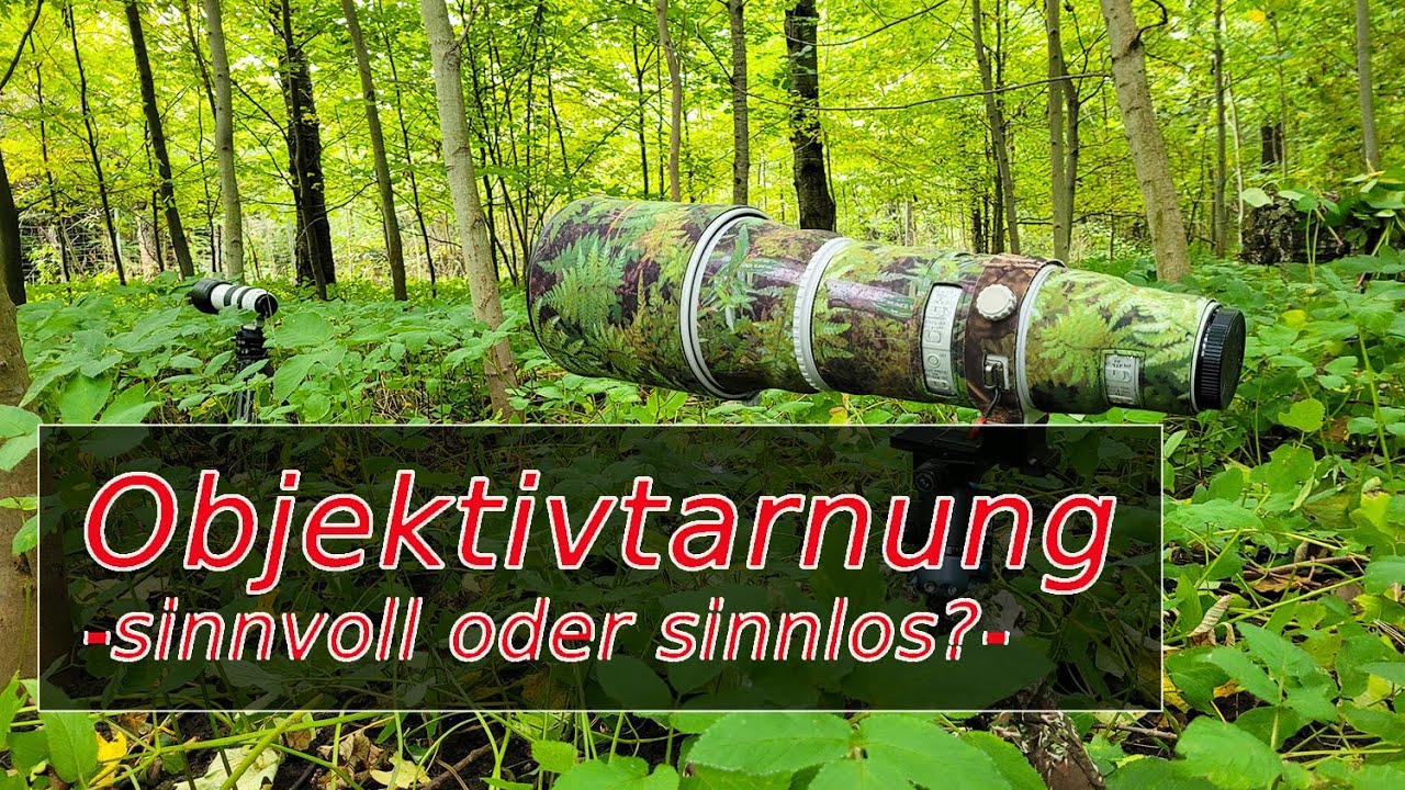 Objektivtarnung -sinnvoll oder sinnlos-