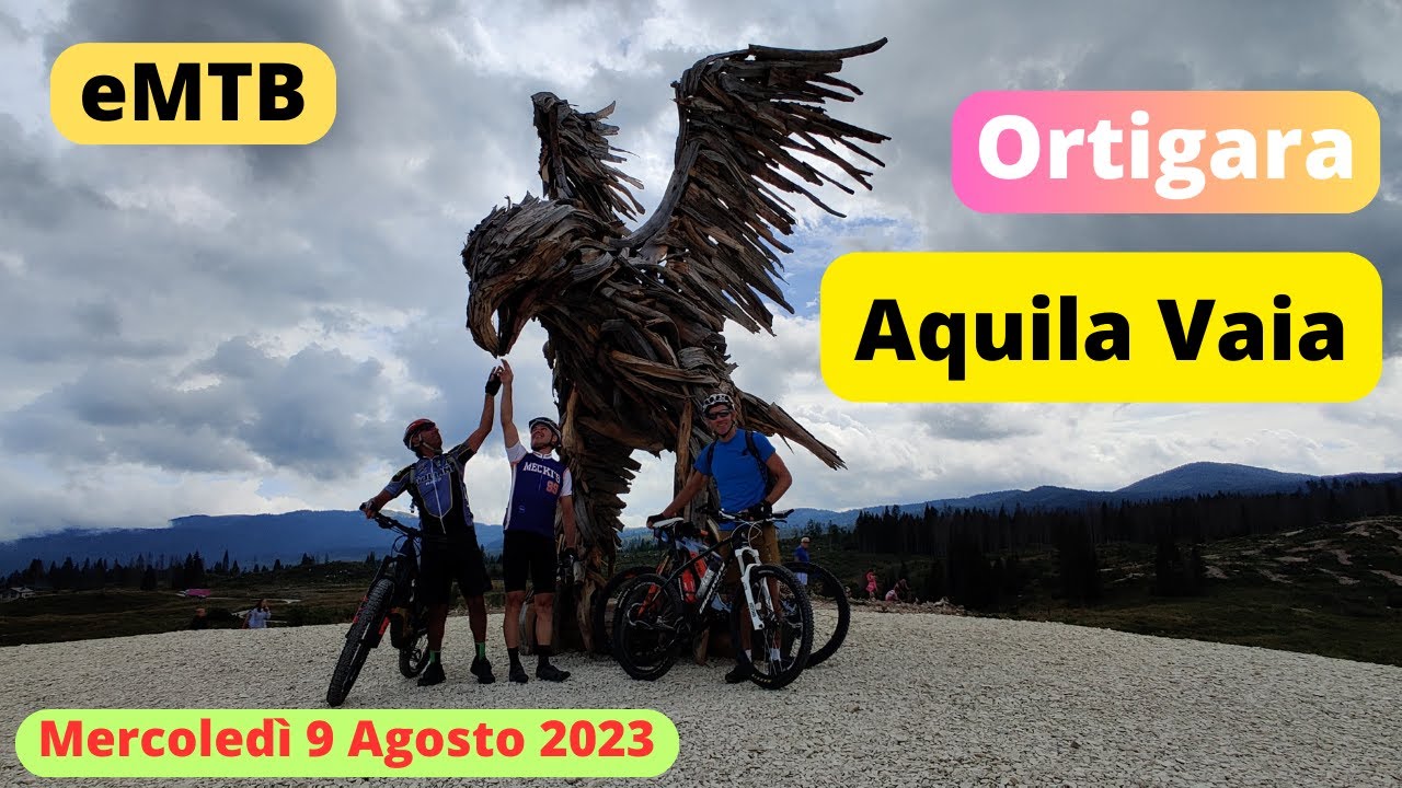 2023 08 09 AQUILA VAIA - CAMPOMULO - ORTIGARA
