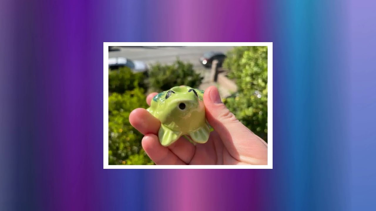 Gift Set for Stoner - Unique Ceramic Frog Pipe & Small Jar (collection)