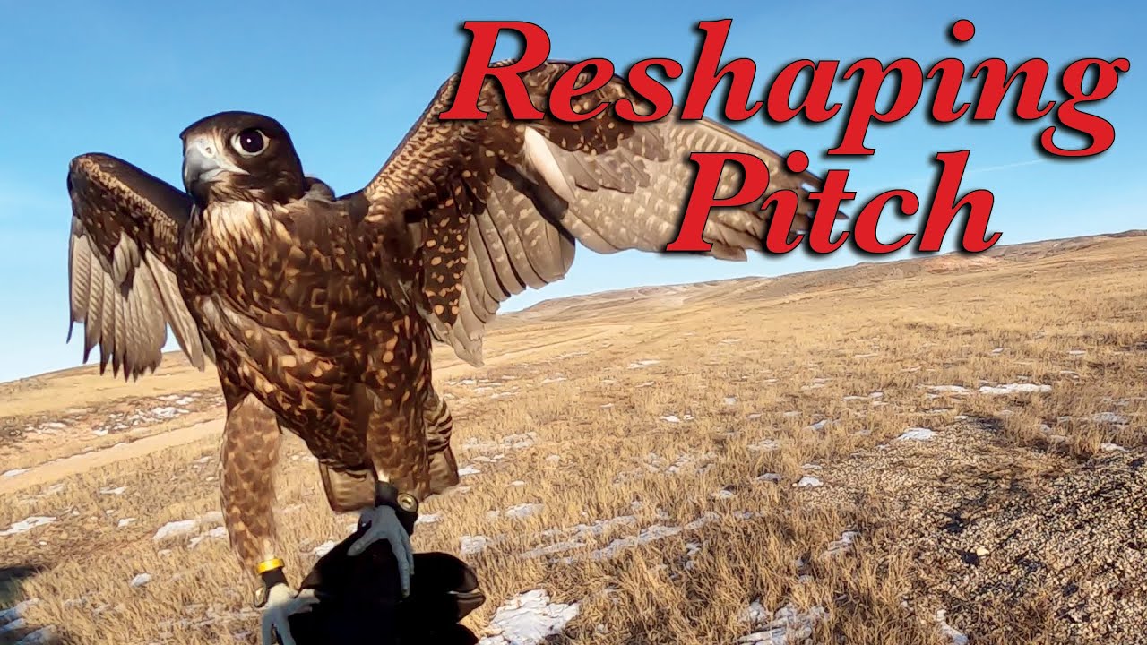 Reshaping Pitch (January 19, 2026)