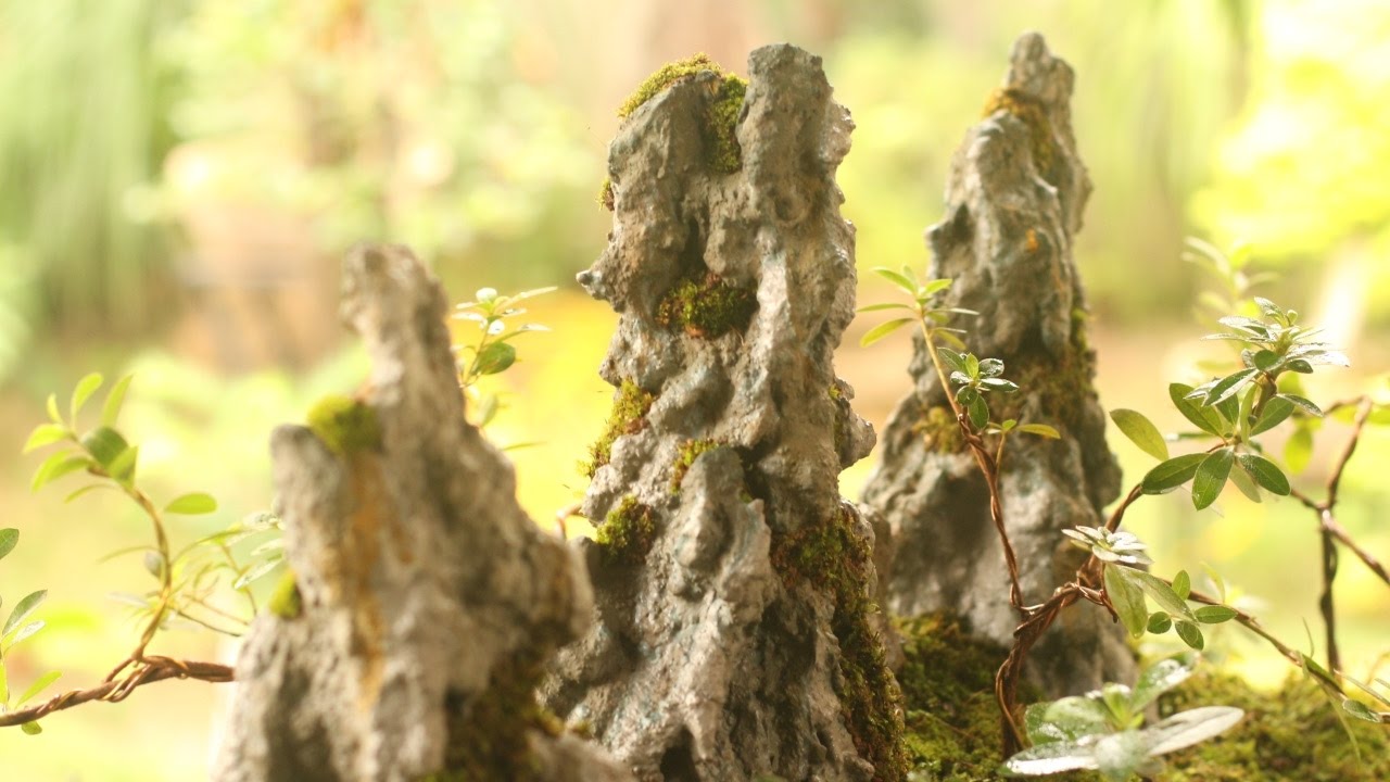 Vale das Azaleias (Penjing) vídeo 1