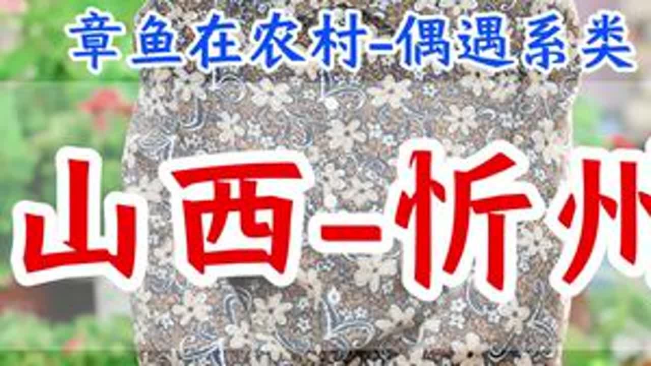 今天这位奶奶是粉丝的妈妈，粉丝平时比较忙，想看一下妈妈在家里的一个日常生活，也想让我们给她妈妈拍个照片，逗逗老人开心！祝愿奶奶身体健健康康的，活在100岁！耶✌️#乡村守护人 #正能量 #山西