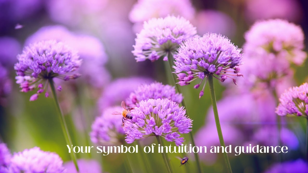 Symbol of Guidance Guided Meditation