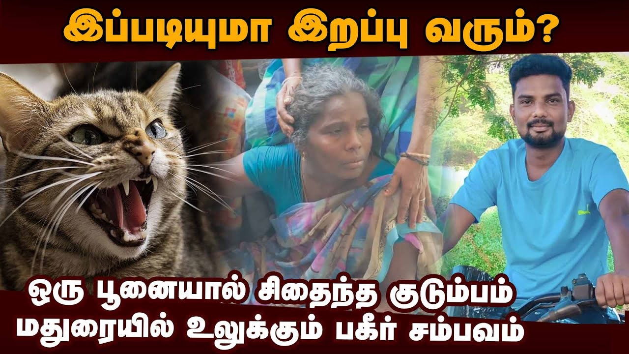 எது கடிச்சாலும் அலட்சியம் வேண்டாம்: டாக்டர்கள் எச்சரிக்கை | Madurai | Rabies virus