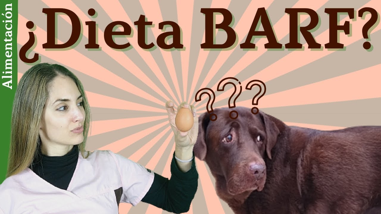 Dieta BARF ¿Buena o mala? | Opinión veterinaria