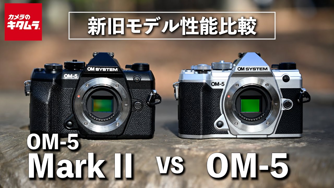 【カメラ比較】OM SYSTEM OM-5 Mark IIとOM-5の違いを比較検証！