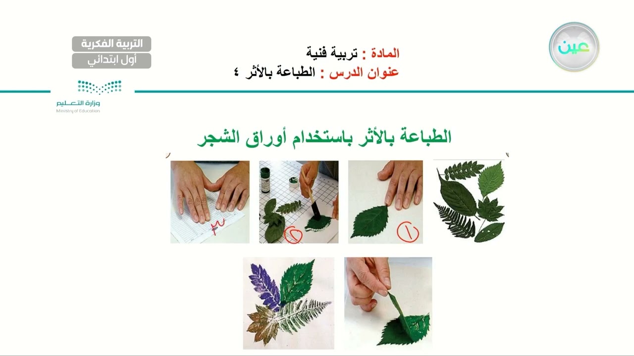 الطباعة بالأثر (4) - تربية فنية - أول ابتدائي فكري 1