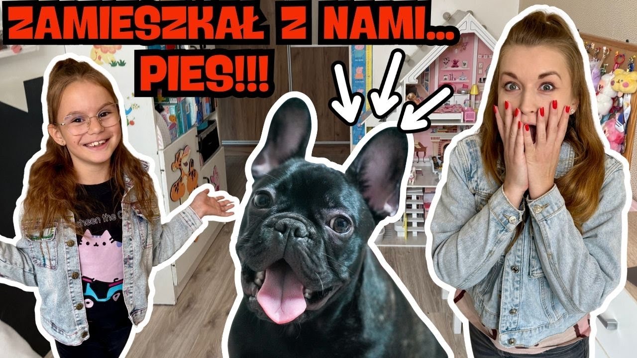 Opiekujemy się psem przez 24h💖 Poznajcie Aurę💖